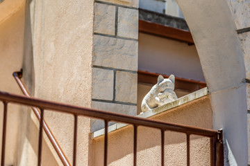 Cat sculpture in Croatia