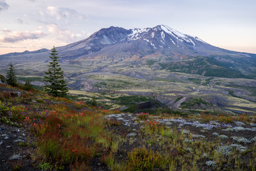 Mt. St. Helens at Sunrise