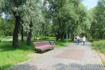 Alley in the urban park