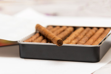 Box of cigarillos on a white background. On the box is one cigarillo