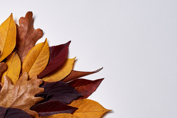 Autumn composition made of dried yellow and red leaves on white background. Fall concept. Autumn thanksgiving texture. Flat lay, top view, copy space