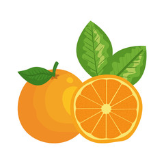orange citrus fruit fresh icon