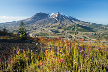 Mt. St. Helens 