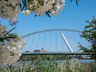 Seville, Spain.Barqueta bridge of Seville. Bridge over river Guadalqvivir . Andalucia
