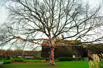 Patchwork knitted sleeve covering an oak tree;Stratford-upon-Avon;England