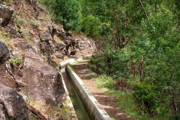 Levada do Canical near Machico on the Island of Madeira. Leavdas are irrigation channels specific to the island.