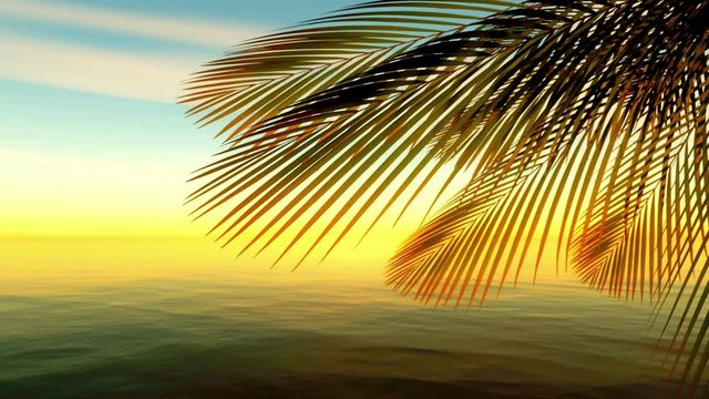 summer time palm tropic sea 4k