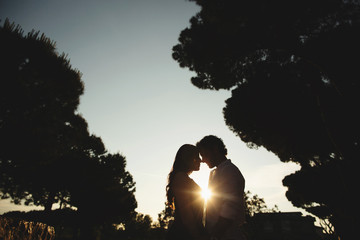 silhouette of a loving couple in the nature