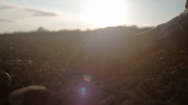 Rich black soil in man (farmer's) hands, golden sunset. Agriculture, gardening or ecology concept with free text (copy) space. Soil, cultivated dirt, earth, ground. Organic gardening, agriculture.