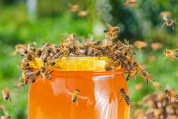 swarm of bees around a jar full of honey in apiary  