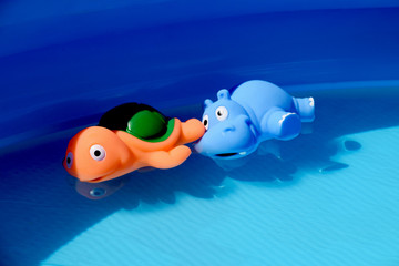 Plastic hippo and turtle toy animals in the water in the pool