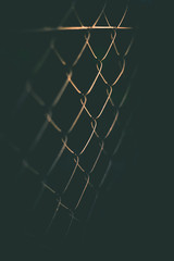 wire mesh