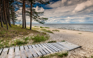 Fototapeta na wymiar Pine forest, wooden footpath and a shore of the Baltic Sea, concept of clean and ecologically friendly tourism in Europe
