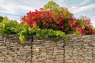 Flowers on a stone wall at the roundabout