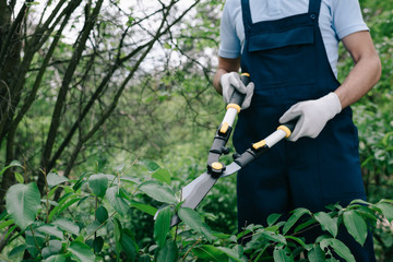 Obraz premium partial view of gardener in overalls trimming bushes with pruner in park