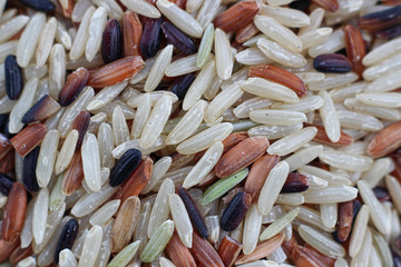Background from rice grains of different colors