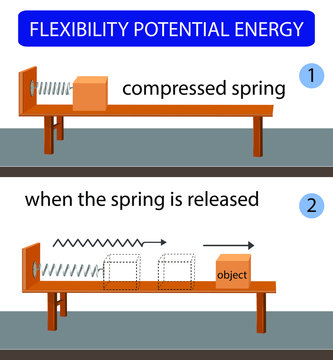 flexibility potential energy. kinetic energy. potential and kinetic energy. energy conversion. science