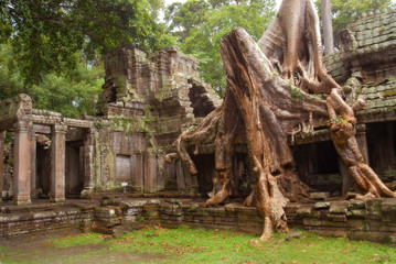 Fototapeta premium Cambodia, Siem Reap, Angkor, Preah Khan, Hindu Buddhist temple.