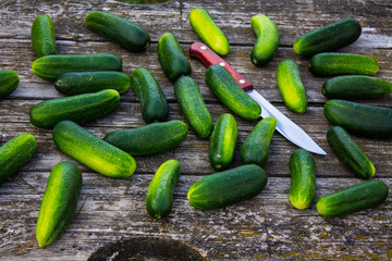 Fresh cucumbers on a wooden table