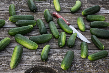 Fresh cucumbers on a wooden table
