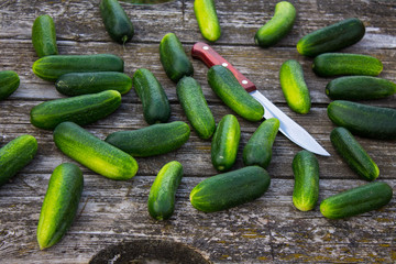Fresh cucumbers on a wooden table
