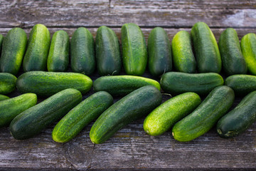 Fresh cucumbers on a wooden table