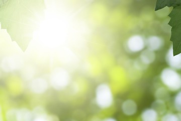 Obraz premium Background.