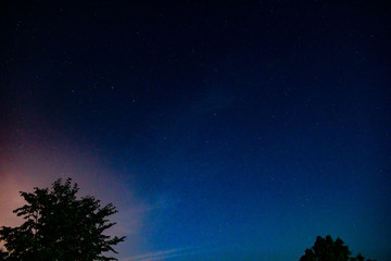 Fototapeta na wymiar Night sky and tree silhouettes