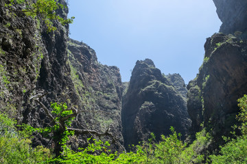 Tenerife landscape, Canary Islands, Spain