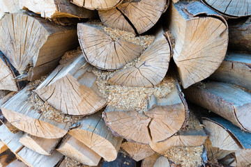 Naklejka premium Wall of stacked wood logs as background