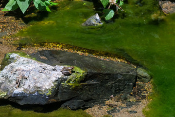 Tenerife landscape, Canary Islands, Spain