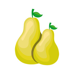 fresh pears fruits isolated icon