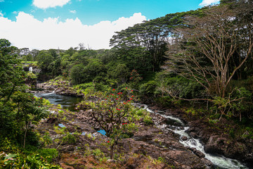 Fototapeta na wymiar river in the mountains of Hawaii