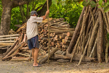 trabajo madera