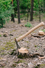 sharp ax with long wooden handle on wood stump in forest