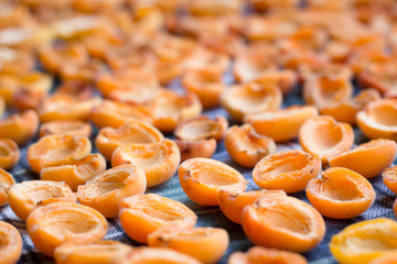Fresh summer harvest of juicy apricots drying on sun