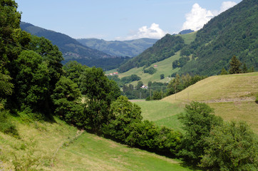 Naklejka premium Alpine small village in Switzerland. Mountain countryside. Summer background.