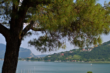 lake,landscape,water,summer,view,outdoors,tree