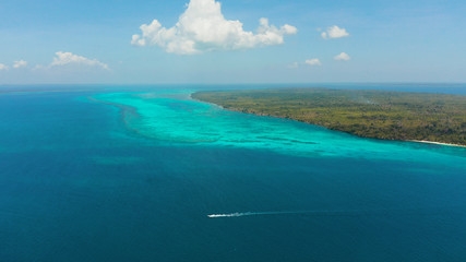 Fototapeta premium Seascape: Tropical islands with coral reefs in the blue water of the sea, top view. Balabac, Palawan, Philippines. Summer and travel vacation concept.