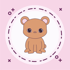 cute bear animal in frame circular