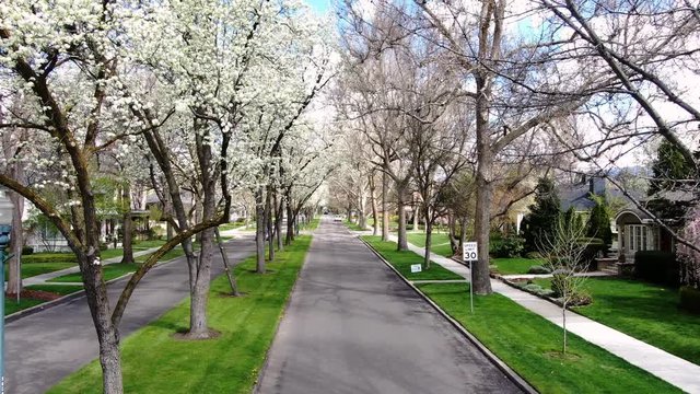 Harrison Boulevard - Boise, Idaho