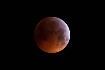 Fototapeta Total Lunar Eclipse January 21, 2019 Totality obraz
