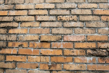  Old bricks as a background