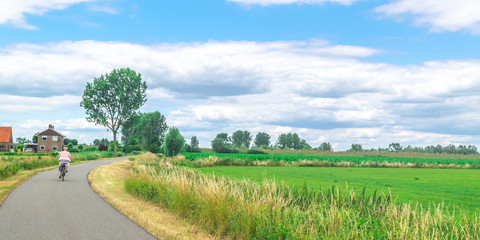 Fototapeta na wymiar Dutch polder landscape in summer