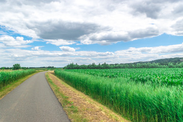 Panoramic view of Dutch Country Road