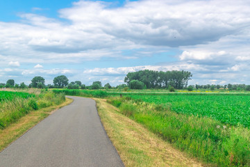 Dutch meadow panoramic landscape
