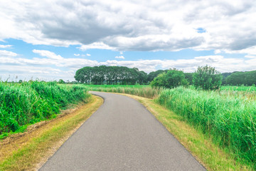 Dutch meadow panoramic landscape