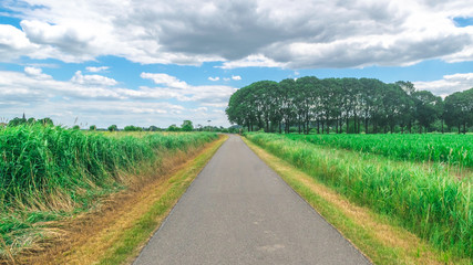 Dutch meadow panoramic landscape