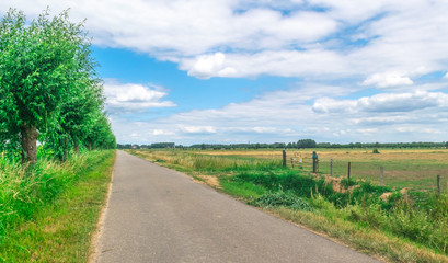 Fototapeta na wymiar Dutch meadow panoramic landscape