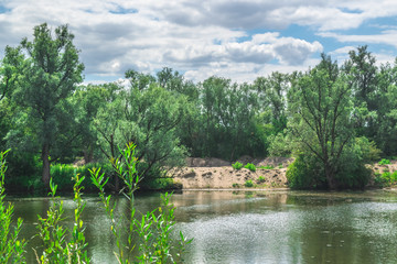 Dutch polder landscape in summer